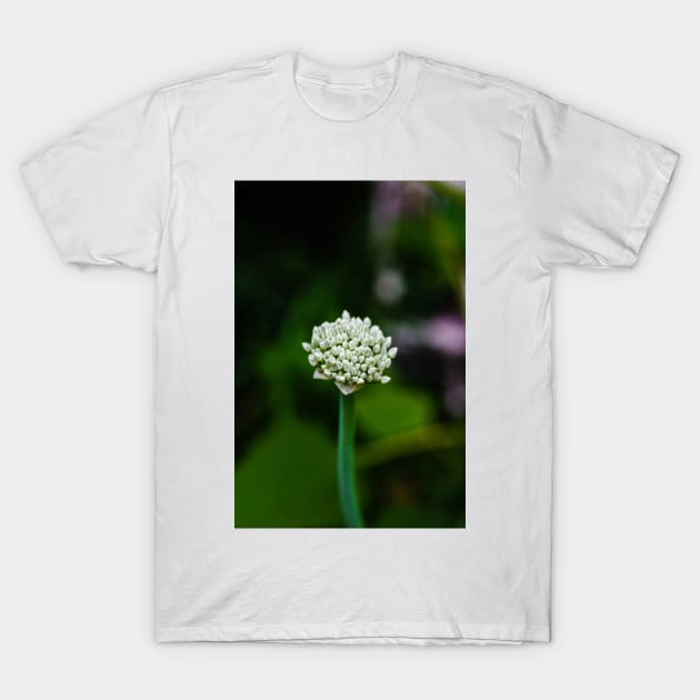 Fresh Shallot T-Shirt by srosu